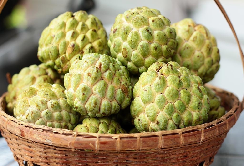 Custard Apple